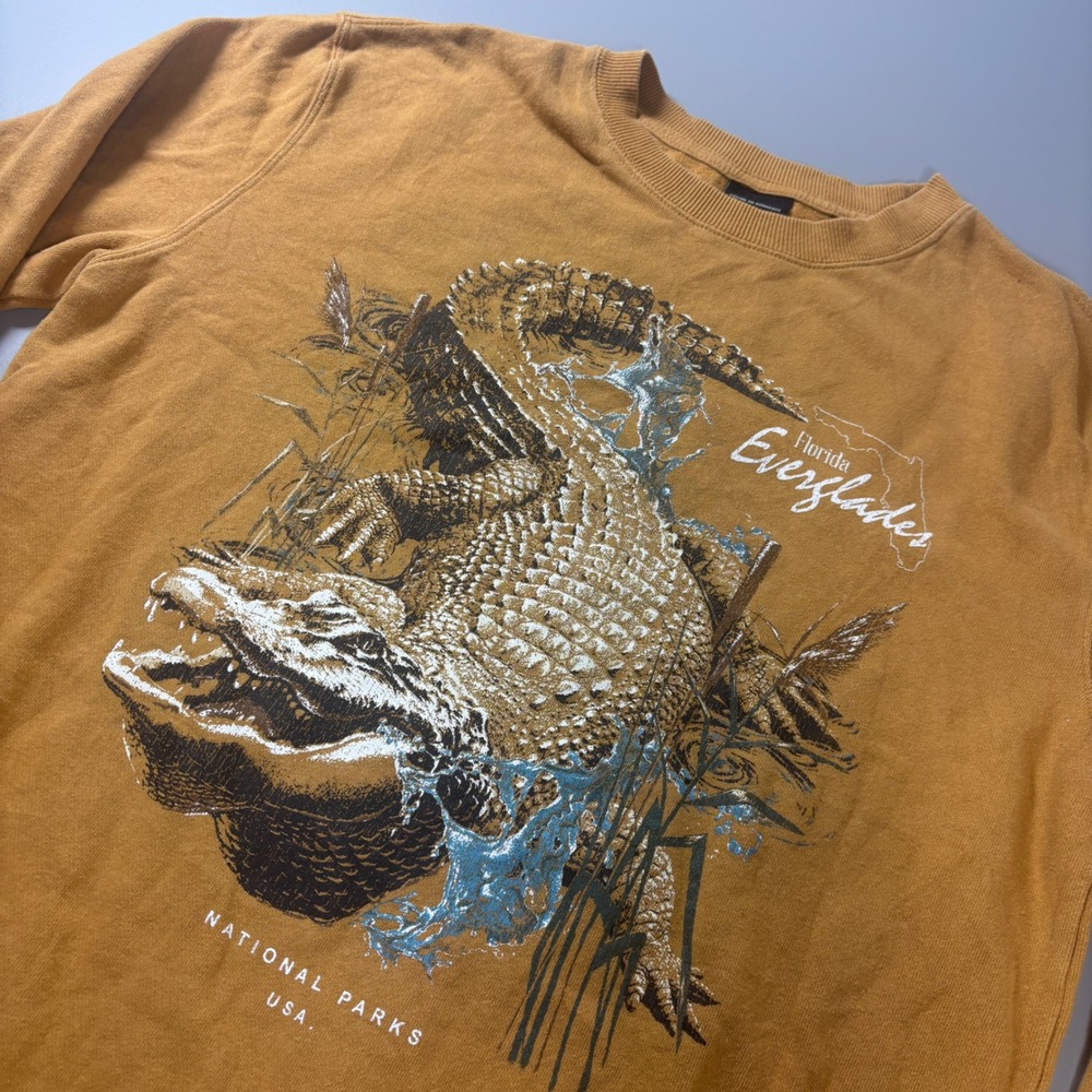 Florida Everglades National Parks Alligator Graphic Sweatshirt Medium‎ Cotton On